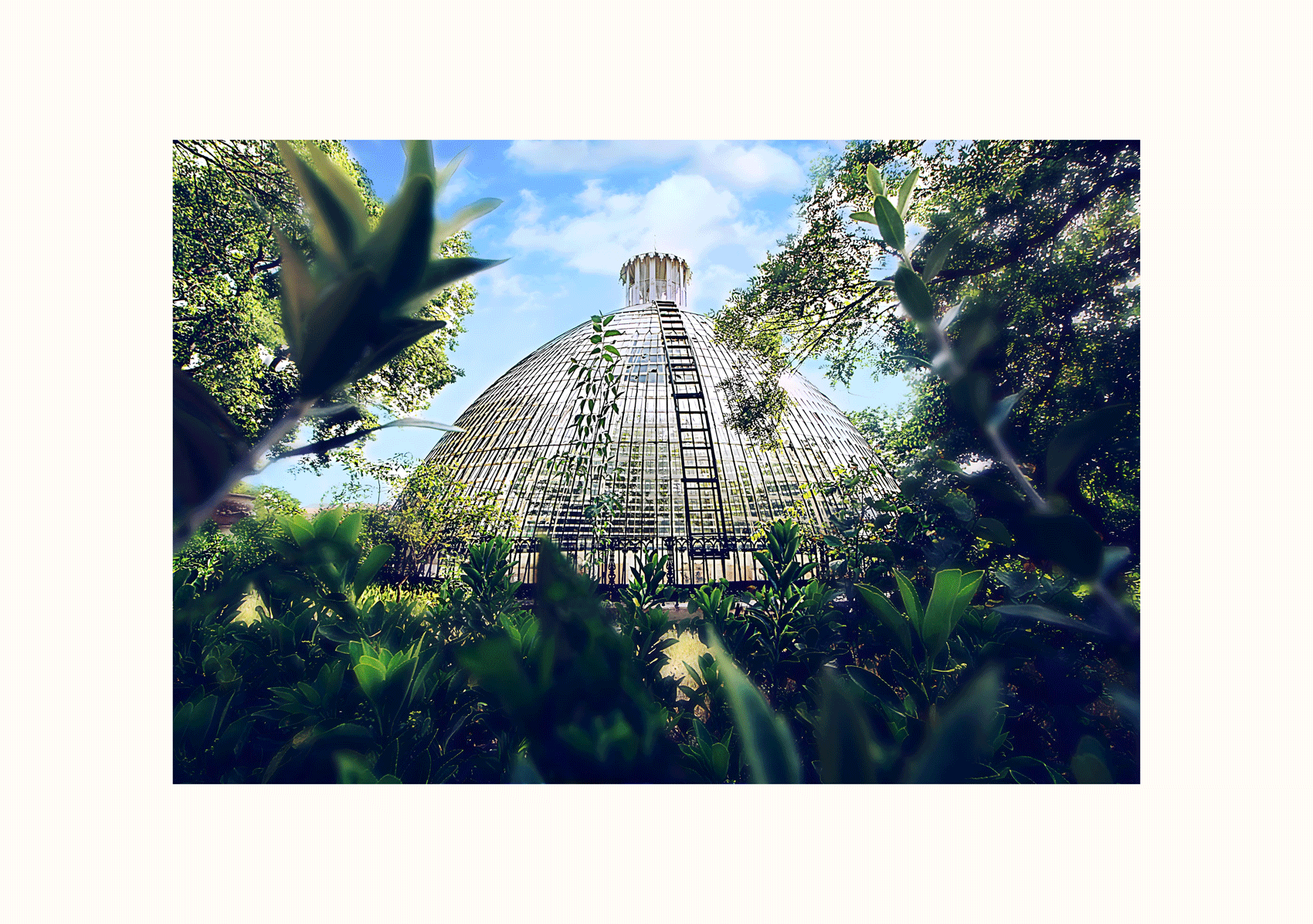Greenhouse