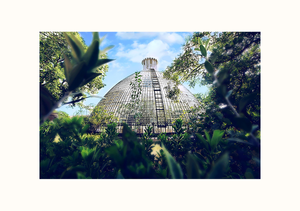 Greenhouse