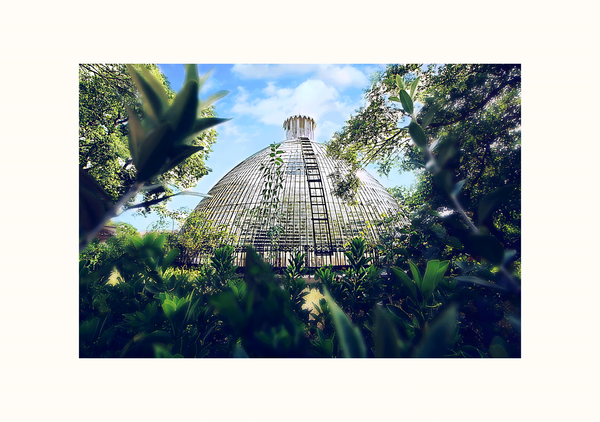 Greenhouse
